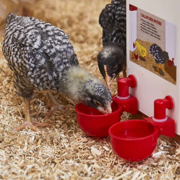PoulCups - Sada pro automatickou dodávku vody pro drůbež