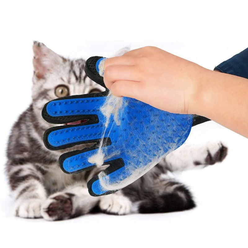 Kartáčová rukavice pro psy a kočky, modrá